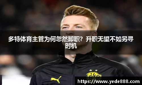 多特体育主管为何忽然卸职？升职无望不如另寻时机